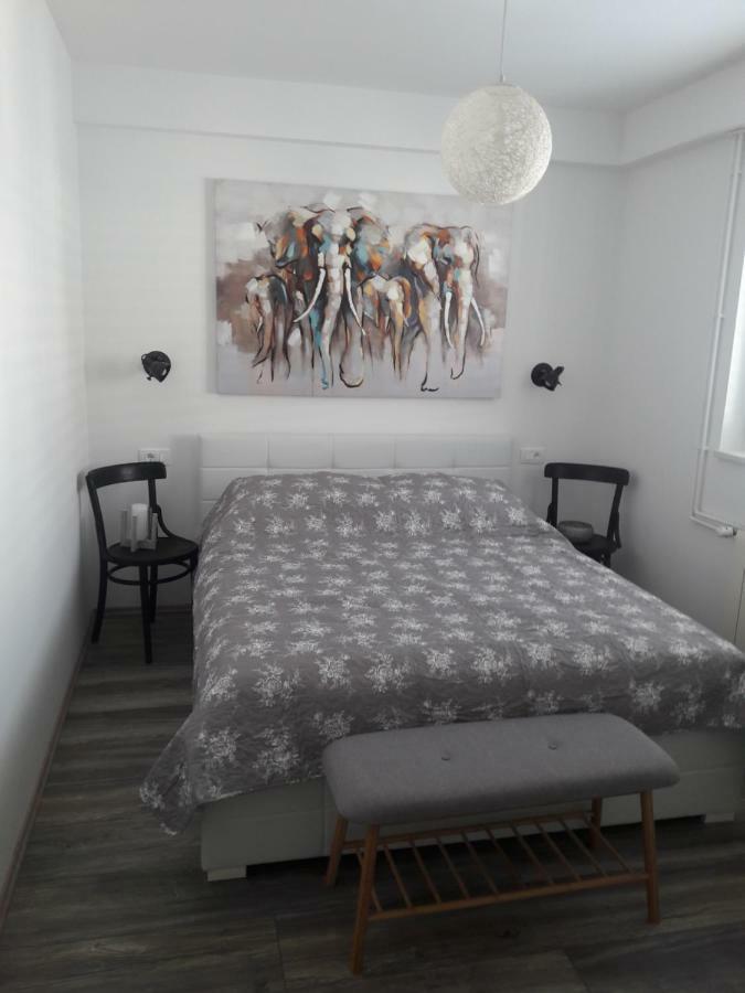 Apartment Tea 2 Primošten Extérieur photo